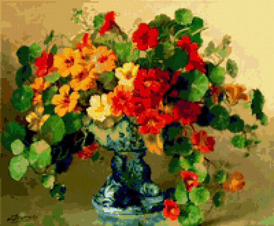 настурция - предпросмотр