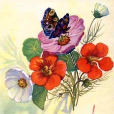 Оригинал схемы вышивки «Цветы и бабочки» (№272145)