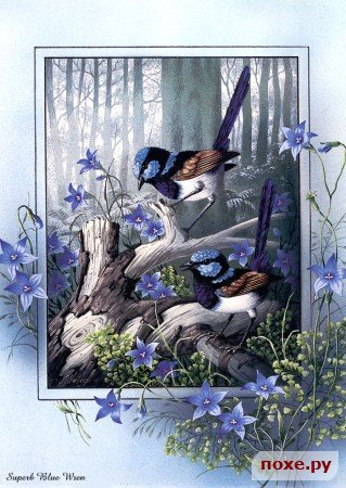 синички - природа - оригинал