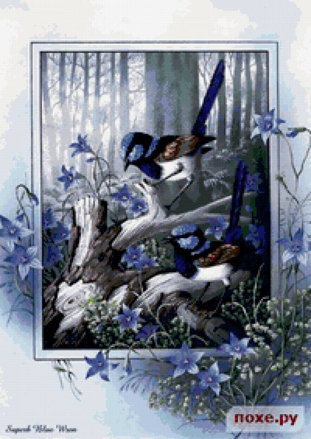 синички - природа - предпросмотр