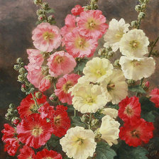 Схема вышивки «мальвы»