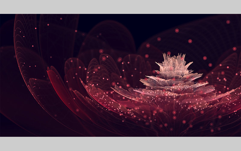 №272482 - оригинал