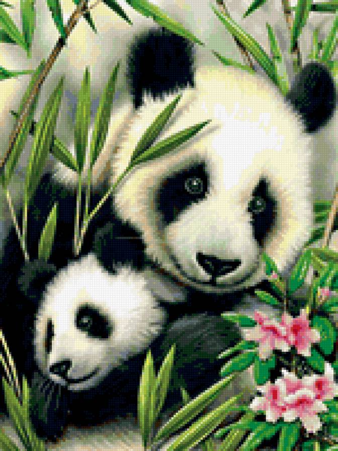 Семейка панды - панда, животные - предпросмотр