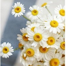 Схема вышивки «№272860»