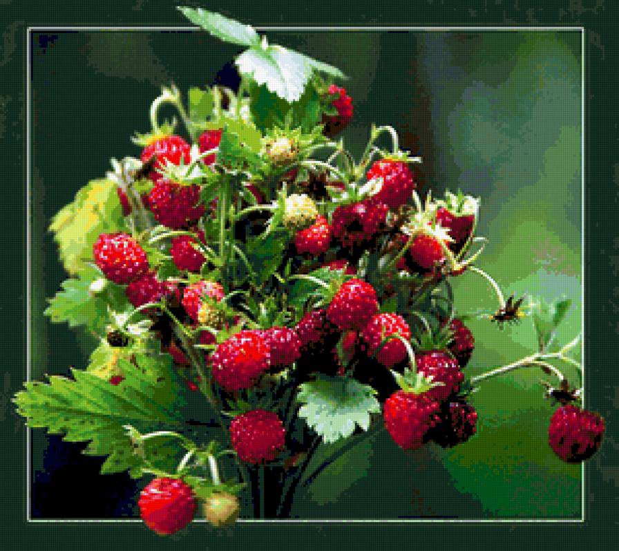 Земляника - картина, ягоды, земляника - предпросмотр