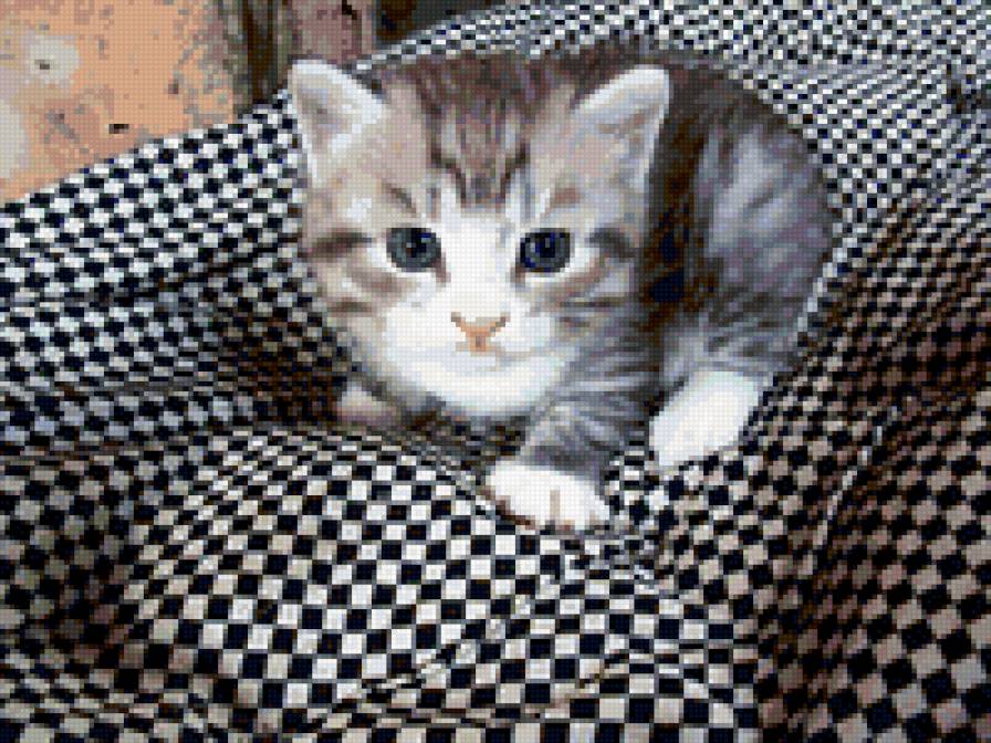 Кубик - предпросмотр