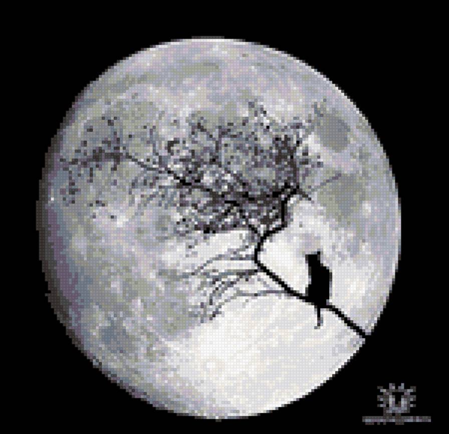 кошкин сон - кошка, луна - предпросмотр