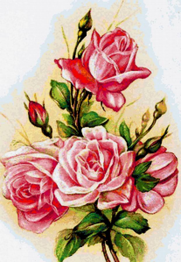 букет роз - предпросмотр