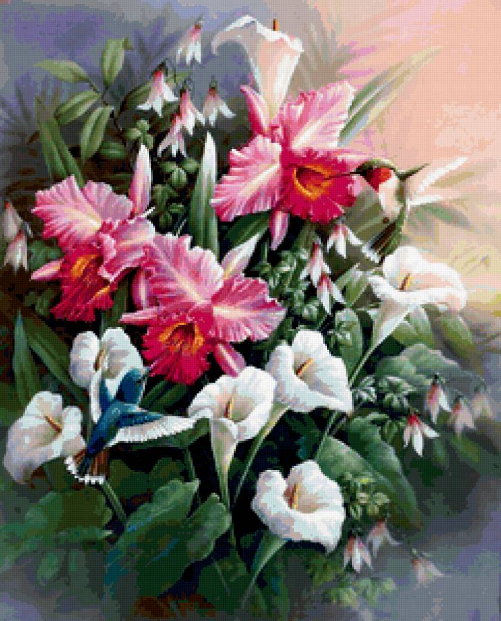 Цветы и птицы - орхидеи, цветы, птицы - предпросмотр