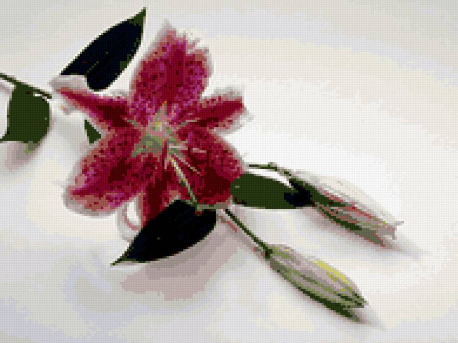 цветы - цветочная подушка - предпросмотр