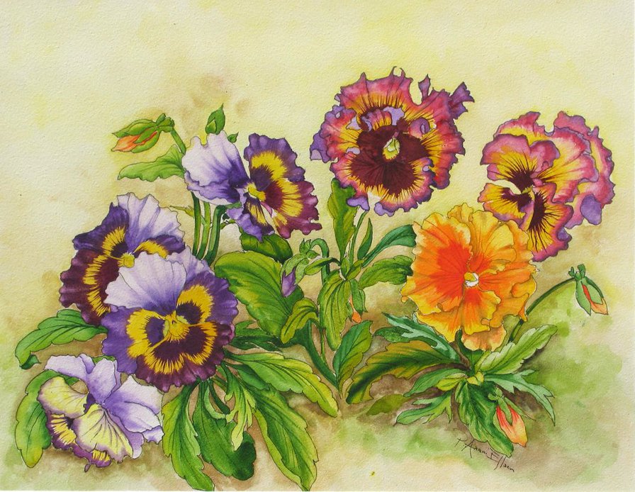 анютки - цветы, анютины глазки, анютки - оригинал