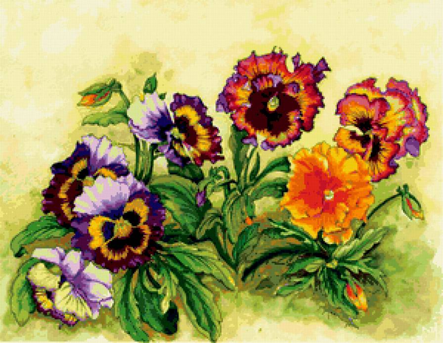 анютки - цветы, анютки, анютины глазки - предпросмотр