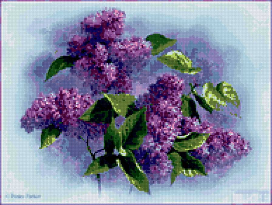 сирень - букет - предпросмотр