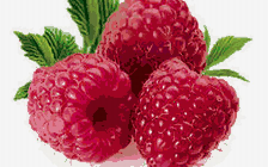 малинка - картина - предпросмотр