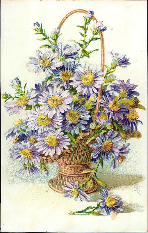 Цветы - цветы, букет - оригинал