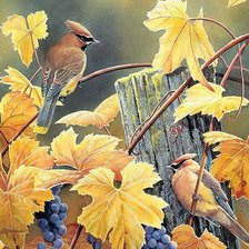 Схема вышивки «0056»