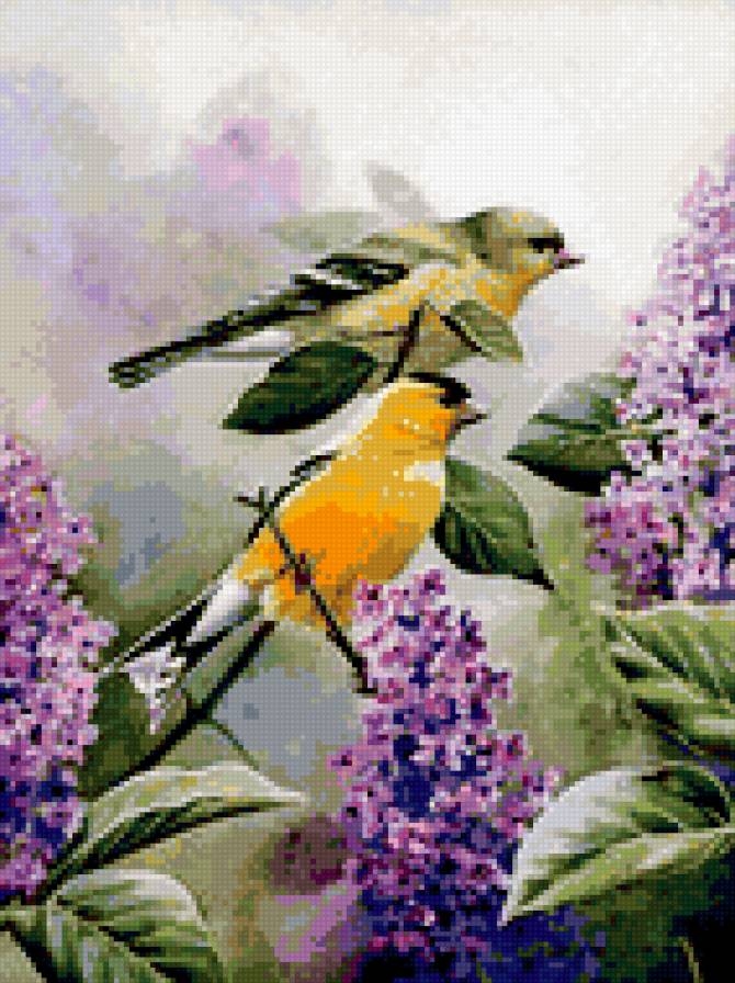 0058 - красота, цветы, сирень, картина, весна, природа, птицы - предпросмотр