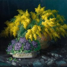 Схема вышивки «mimoza»