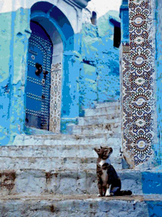 Восток - восток, кошка - предпросмотр