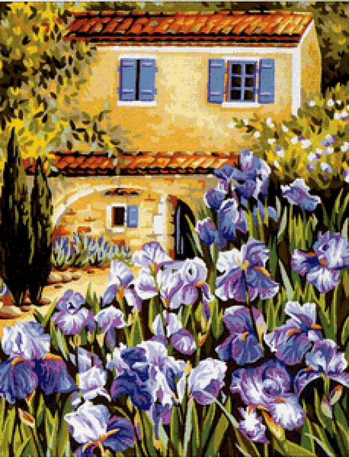 Ирисы - цветы, ирисы, дом - предпросмотр
