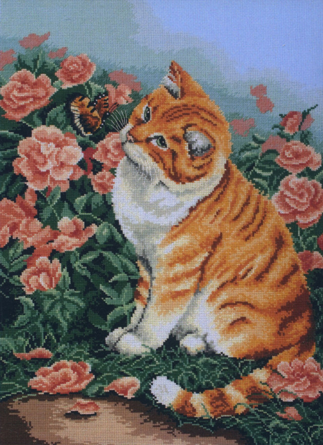 кот - кот, животные - оригинал