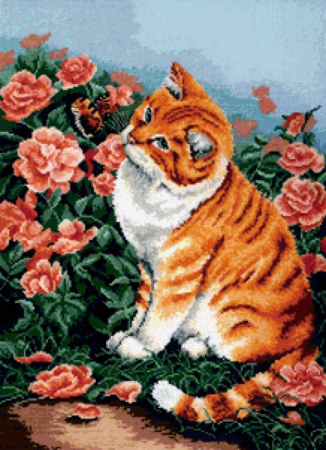 кот - животные, кот - предпросмотр