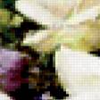 Предпросмотр схемы вышивки «Белые розы» (№273678)