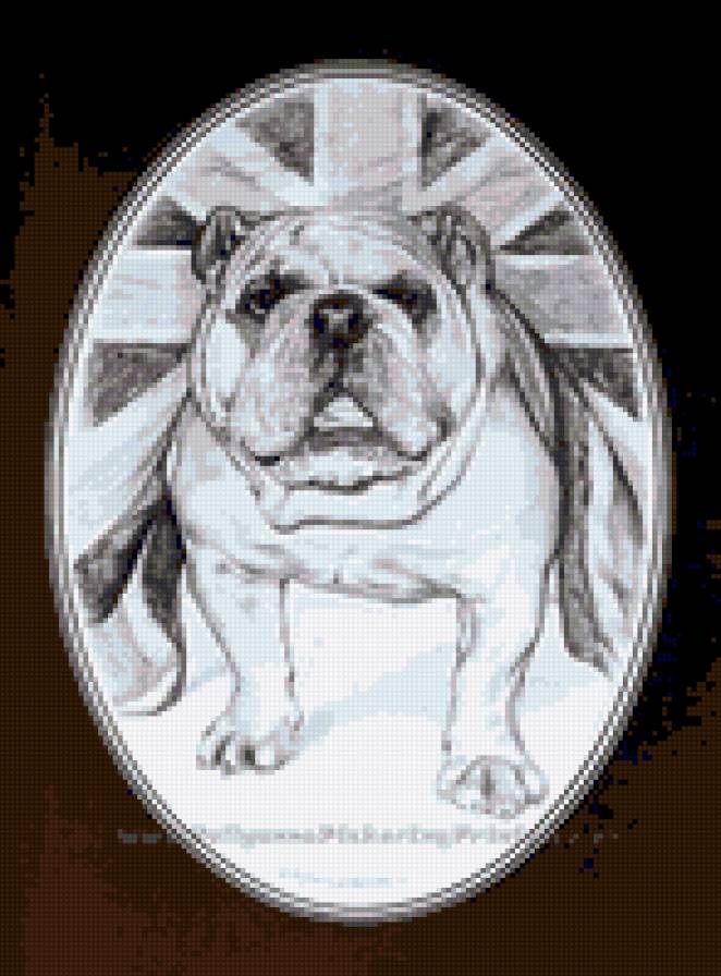 Бульдог - английский бульдог, флаг британии - предпросмотр