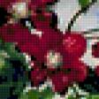 Предпросмотр схемы вышивки «Клематисы» (№273802)