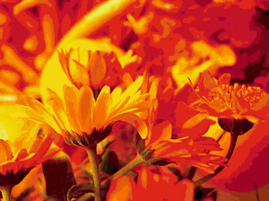 СЕРИЯ ЦВЕТ "ОРАНЖЕВЫЙ" - оранжевый - предпросмотр