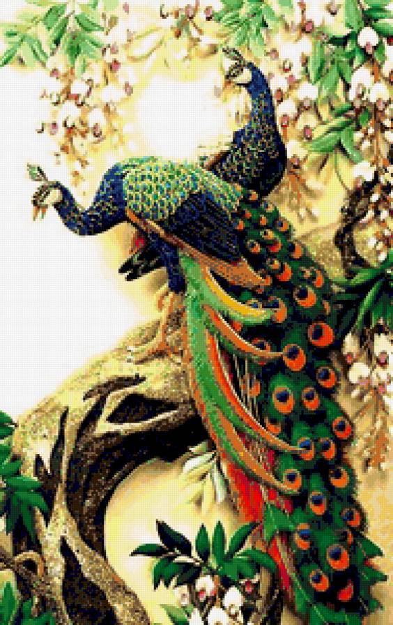 №273927 - предпросмотр