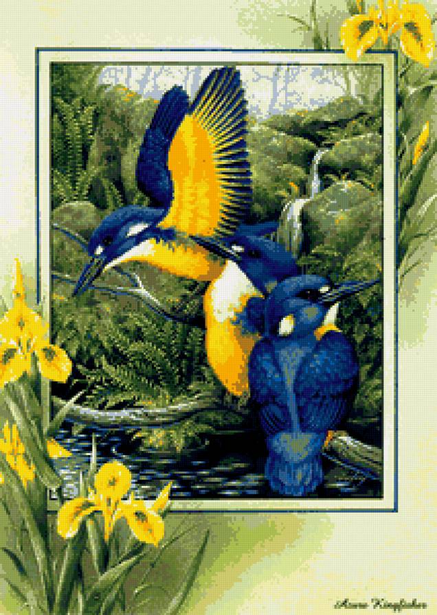 птицы - птицы - предпросмотр