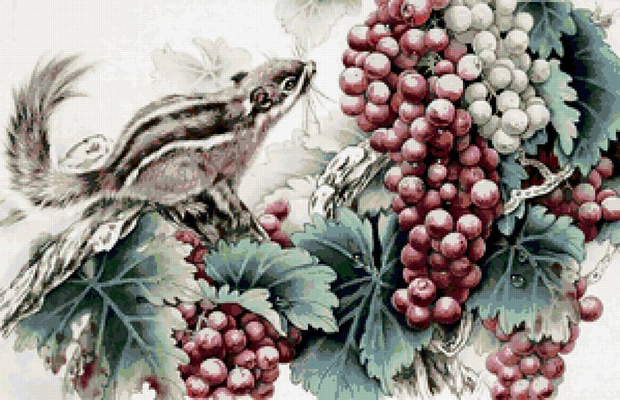 виноград - картина - предпросмотр