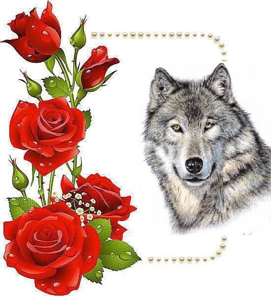 Волк у Розы - волк, картина, цветы, роза, зверь - оригинал