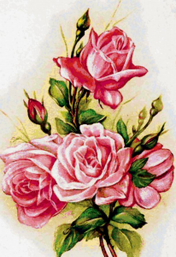 нежные розы - предпросмотр