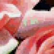 Предпросмотр схемы вышивки «нежные розы» (№274101)