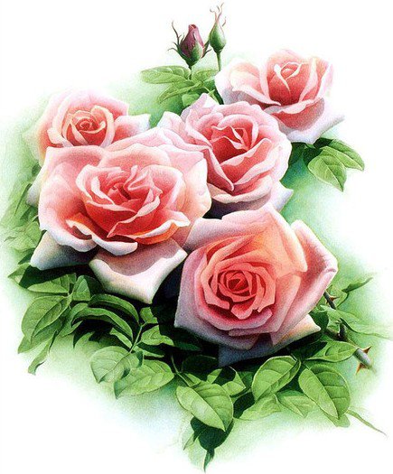 нежные розы - оригинал