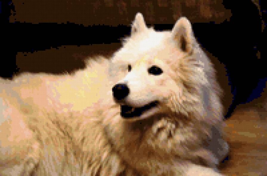 зуня - предпросмотр