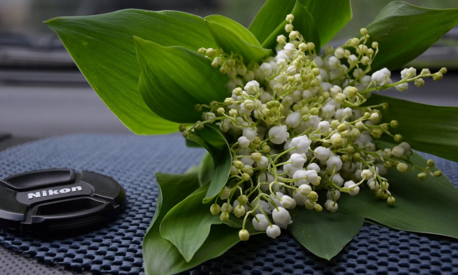 ландыши - оригинал