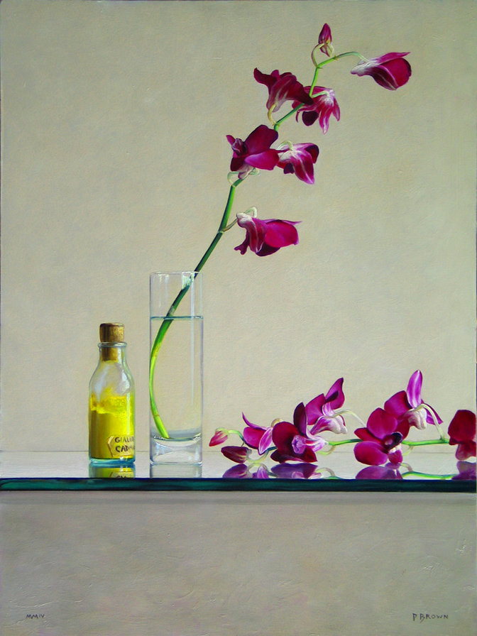 orchids - cvety - оригинал