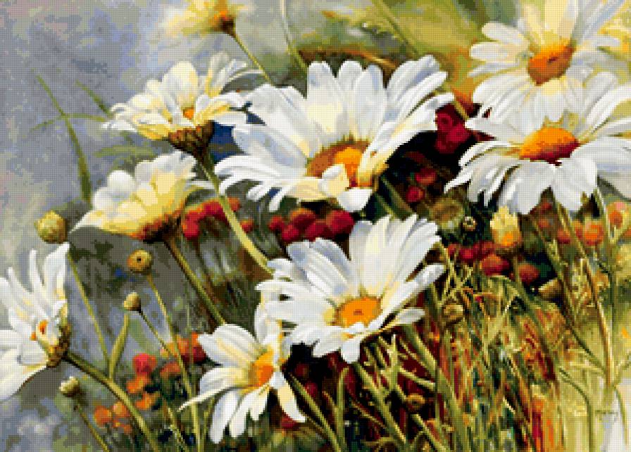 королева полей - ромашка, ромашки, цветы - предпросмотр