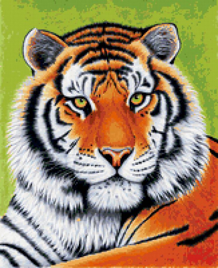тигр - животные - предпросмотр