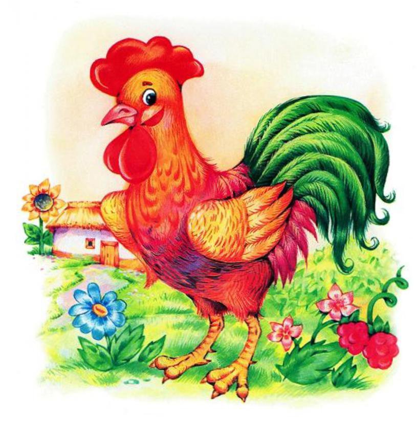 петушок - птицы - оригинал