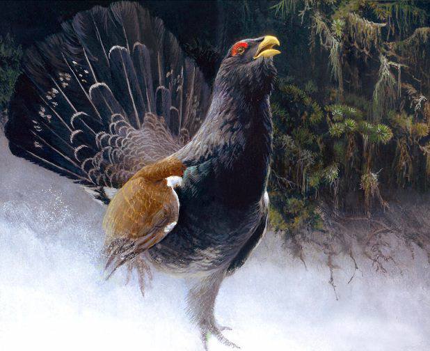 0063 - птицы, природа, картина, зима, красота - оригинал