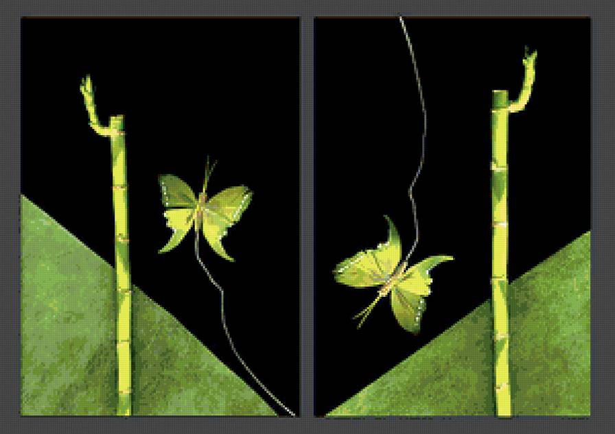 бамбук и бабочки - предпросмотр