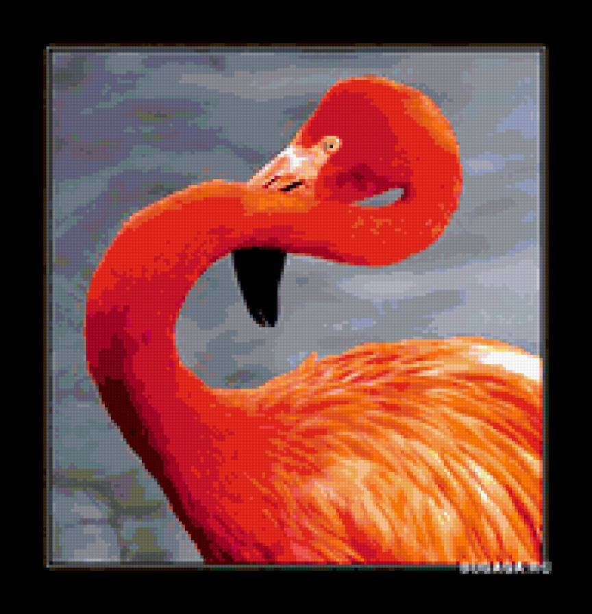 фламинго - предпросмотр