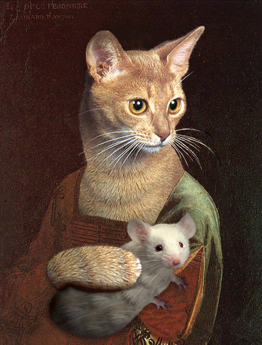 кошка - мышка, кошка - оригинал