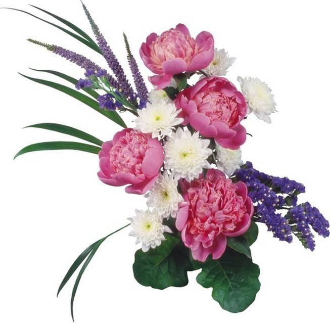 букет - букет, пионы, цветы, хризантемы - оригинал