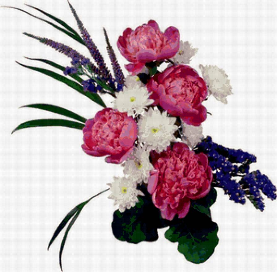 букет - хризантемы, цветы, пионы, букет - предпросмотр