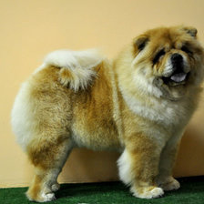 Схема вышивки «Маня»